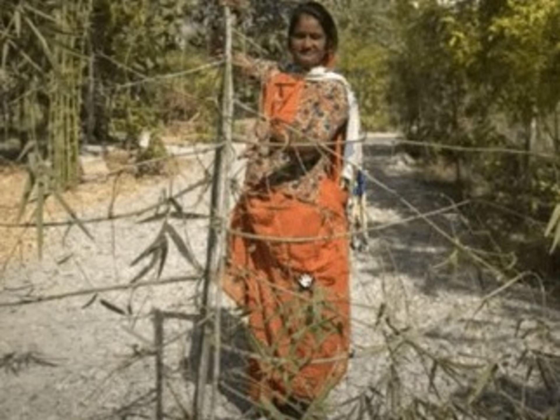 eco-feminism-in-piplantri.Click to read full article.